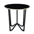 Amyra 3pc Occasional Coffee and End Table Set- Black Glass- Gold