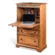 Murphy Desk Armoire Cabinet- 3 Drawer File Storage- Brown 53 Inch