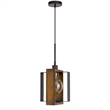 Gen 9 Inch Mini Pendant Light Fixture w Bulb-Black Metal-Pine Wood