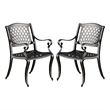 Cay Outdoor Dining Chair Set of 2- Mesh Style Back- Black Cast Aluminium