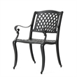 Cay Outdoor Dining Chair Set of 2- Mesh Style Back- Black Cast Aluminium