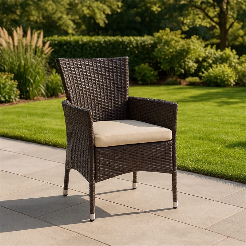 Clem Dining Chair Set of 2- Beige- Outdoor Dark Brown Wicker- Iron Frame