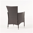 Clem Dining Chair Set of 2- Beige- Outdoor Dark Brown Wicker- Iron Frame