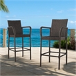 Outdoor Barstool Chair Set of 2- Gray PE Rattan Woven- Iron Frame