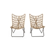 Fordy Outdoor Chair Set of 2- Curved Seat- Brown Rattan- Black Metal