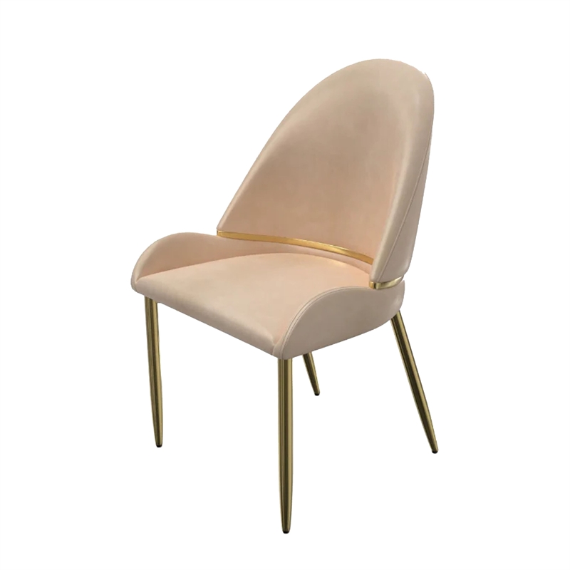 Mior Dining Chair Set of 2- Champagne Faux Leather- Gold Metal Accents