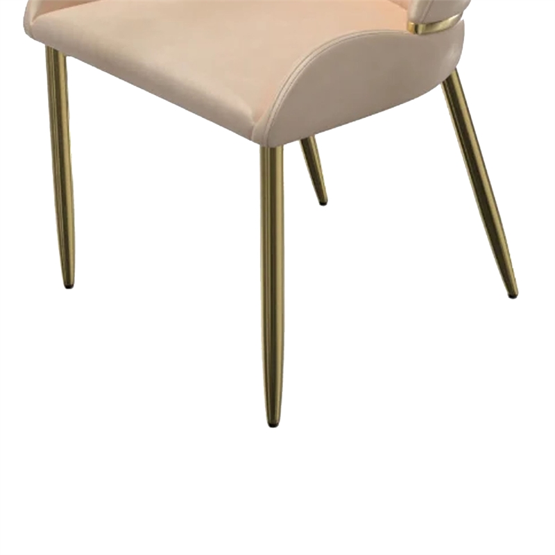 Mior Dining Chair Set of 2- Champagne Faux Leather- Gold Metal Accents