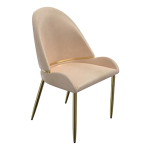 Mior Dining Chair Set of 2- Champagne Faux Leather- Gold Metal Accents
