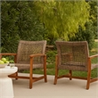 Bops Outdoor Accent Club Chair Set of 2- Brown Acacia Wood Gray Wicker