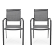 Arini Outdoor Dining Chair Set of 2- Dark Gray Metal Frame- Mesh Seat
