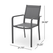 Arini Outdoor Dining Chair Set of 2- Dark Gray Metal Frame- Mesh Seat
