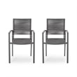 Teny Outdoor Dining Chair Set of 2- Open Back- Woven Rope- Dark Gray Metal