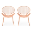 Elie Outdoor Chairs Set of 2- Wing Mesh Curved Back- Orange Iron Frame