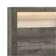 Ruthe Low Profile Queen Panel Bed with Built-In Lights- Ash Gray Wood