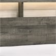 Ruthe Low Profile Queen Panel Bed with Built-In Lights- Ash Gray Wood