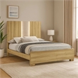 Amey King Panel Bed with Built In Light- White Trim- Brown Driftwood