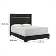 Geny Queen Size Bed w Channel Tufted Headboard- Silver Trim- Black