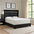 Geny Queen Size Bed w Channel Tufted Headboard- Silver Trim- Black