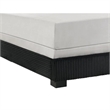 Geny Queen Size Bed w Channel Tufted Headboard- Silver Trim- Black