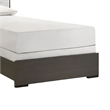 Hez Twin Size Bed- Tufted Cream White Headboard Upholstery- Dark Brown