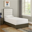 Hez Twin Size Bed- Tufted Cream White Headboard Upholstery- Dark Brown