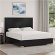Goldie Queen Size Panel Bed-Black and Gold Pine Wood-Contemporary