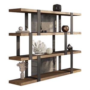 Cid Brow 4 Tier Bookshelf-Black Stainless Steel w Glass Back-71 Inch