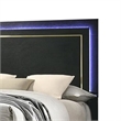 Lati Queen Bed-LED Headboard-Gold Trim and Bracket Legs-Black Wood