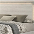 Nomi Queen Size Bed w LED on Headboard-Antique White Wash Finsih
