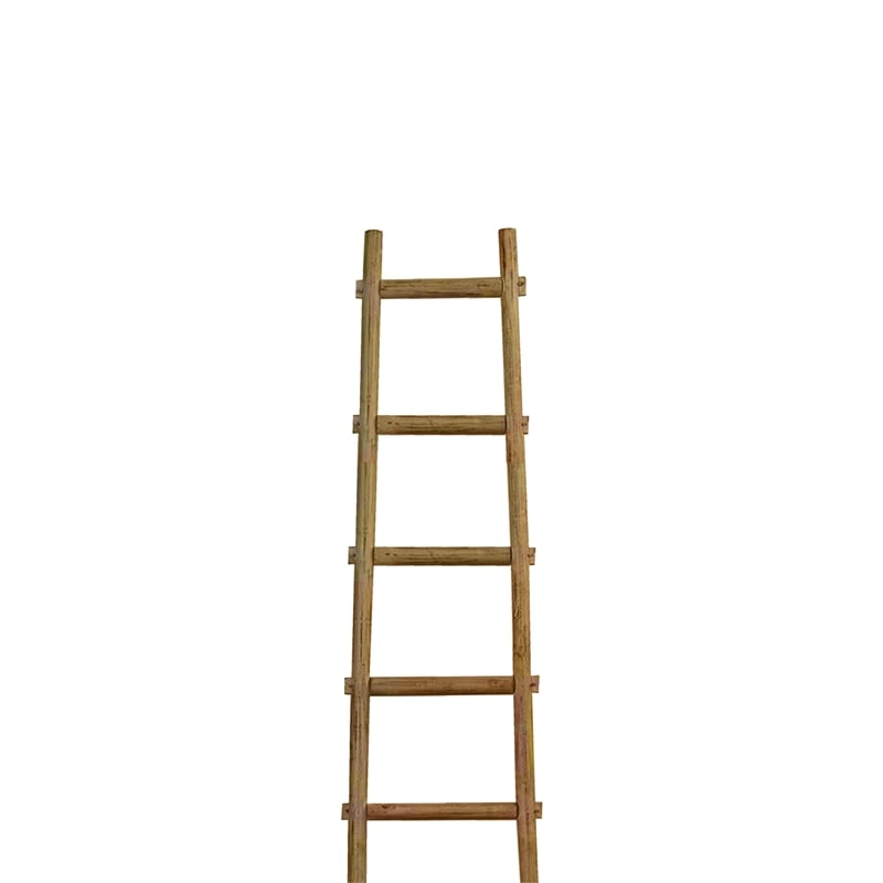 Benjara Transitional Style Wooden Decor Ladder with 6 Steps- Brown