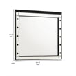 Benjara Lee 37 x 40 Vanity Mirror-10 Light Bulb Sockets-Modern Black Wood Frame