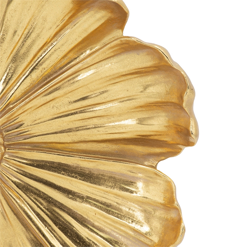 Benjara Dazzle 11- 12