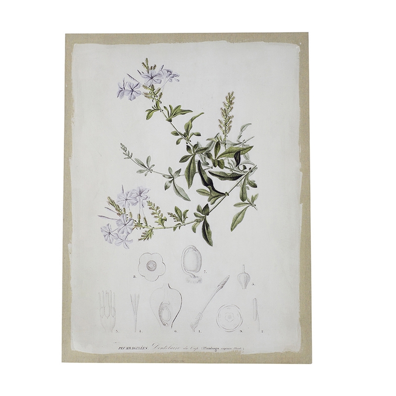 Benjara 24 x 32 Set of 2 Framed Wall Art Prints- Floral- Modern White and Black