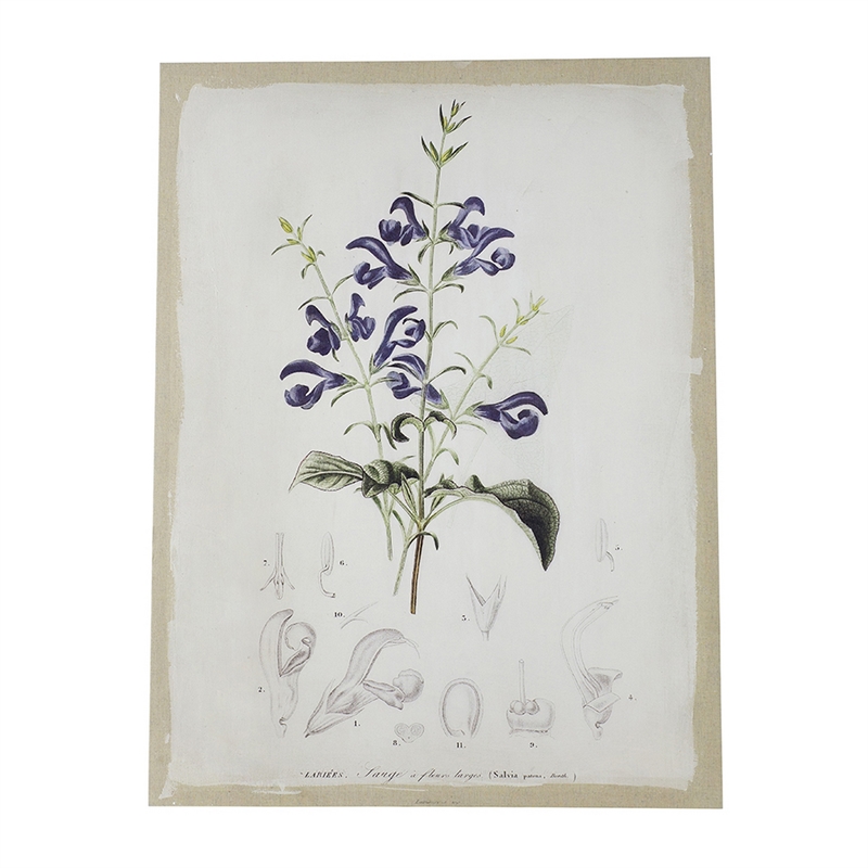 Benjara 24 x 32 Set of 2 Framed Wall Art Prints- Floral- Modern White and Black