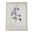 Benjara 24 x 32 Set of 2 Framed Wall Art Prints- Floral- Modern White and Black
