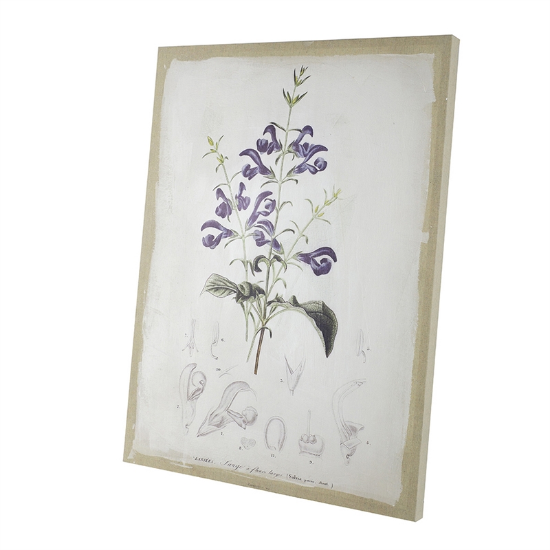 Benjara 24 x 32 Set of 2 Framed Wall Art Prints- Floral- Modern White and Black