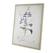 Benjara 24 x 32 Set of 2 Framed Wall Art Prints- Floral- Modern White and Black