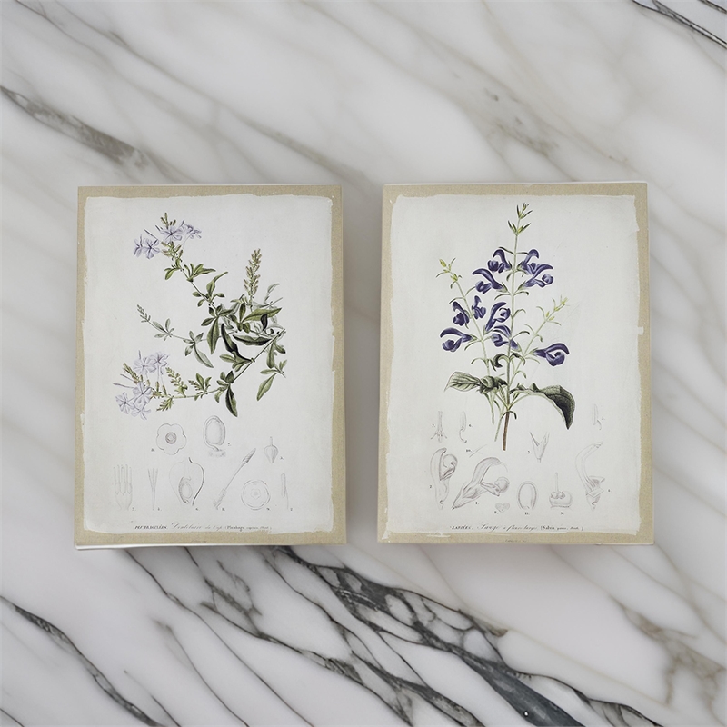 Benjara 24 x 32 Set of 2 Framed Wall Art Prints- Floral- Modern White and Black