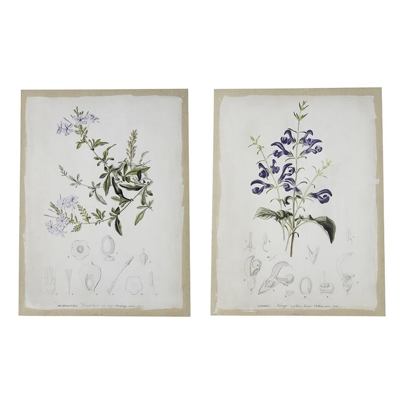 Benjara 24 x 32 Set of 2 Framed Wall Art Prints- Floral- Modern White and Black