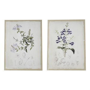 Benjara 24 x 32 Set of 2 Framed Wall Art Prints- Floral- Modern White and Black