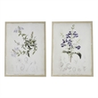 Benjara 24 x 32 Set of 2 Framed Wall Art Prints- Floral- Modern White and Black