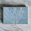 Benjara 28 x 39 Hanging Wall Art Decor-Rectangular White Tree Design-Blue Canvas