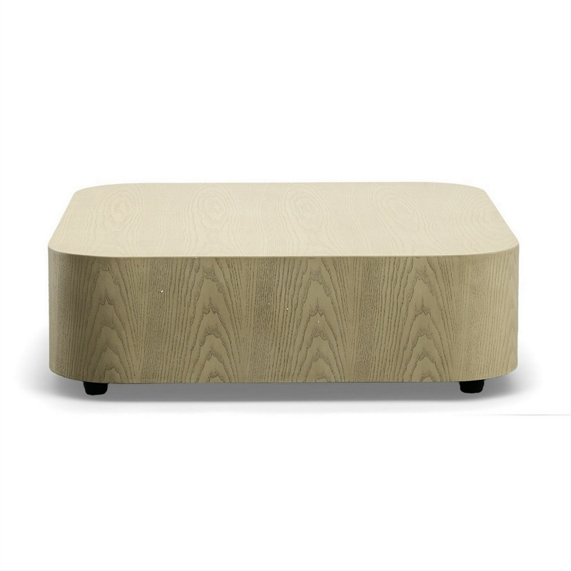 Benjara Cid Macy 36