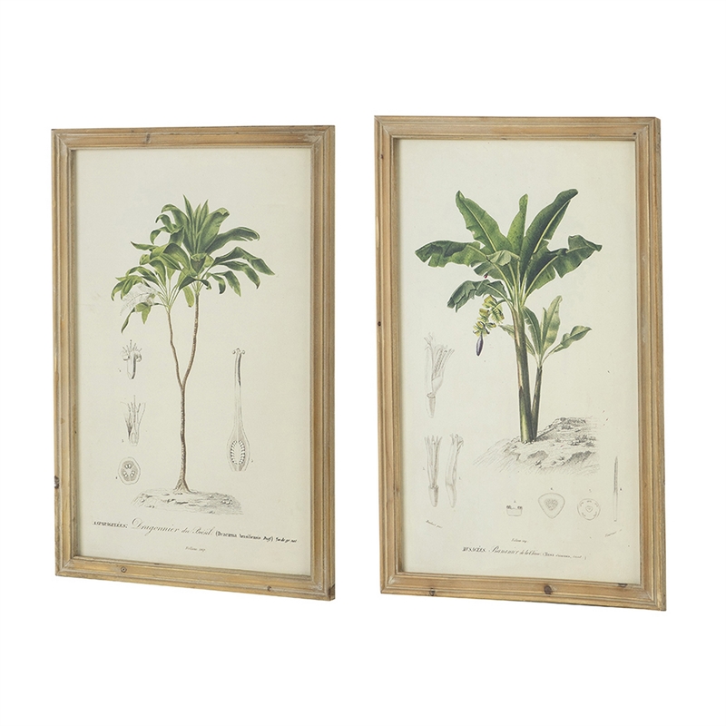 Benjara 24 x 32 Framed Art Print Set of 2- Tree Design- Fir Wood- Green- Brown