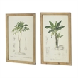 Benjara 24 x 32 Framed Art Print Set of 2- Tree Design- Fir Wood- Green- Brown