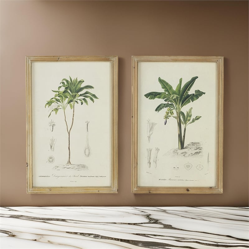 Benjara 24 x 32 Framed Art Print Set of 2- Tree Design- Fir Wood- Green- Brown
