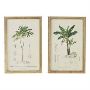 Benjara 24 x 32 Framed Art Print Set of 2- Tree Design- Fir Wood- Green- Brown