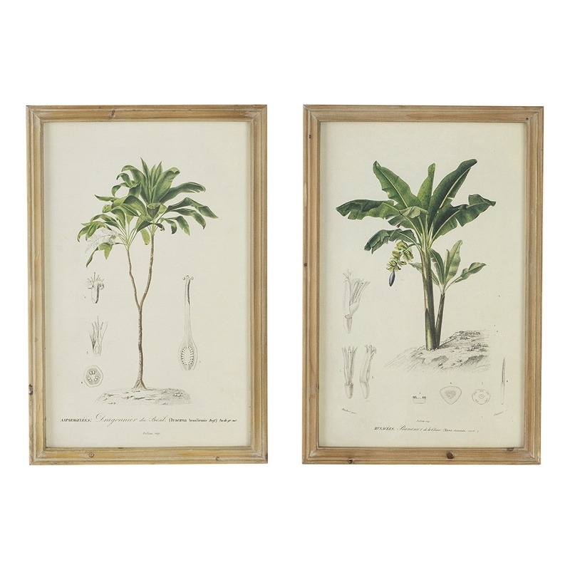 Benjara 24 x 32 Framed Art Print Set of 2- Tree Design- Fir Wood- Green- Brown