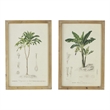Benjara 24 x 32 Framed Art Print Set of 2- Tree Design- Fir Wood- Green- Brown