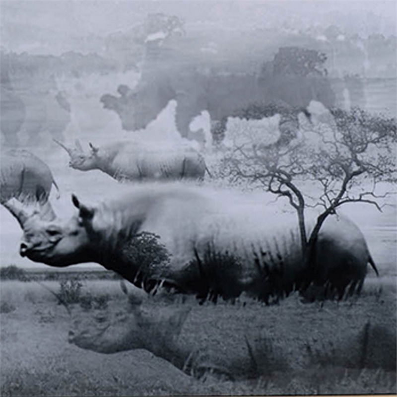 Benjara 49 x 59 Framed Wall Art-Foggy Waterscape Print-Modern Gray-White-Black